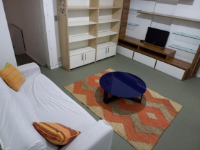 Espaçoso Apartamento Ipanema
